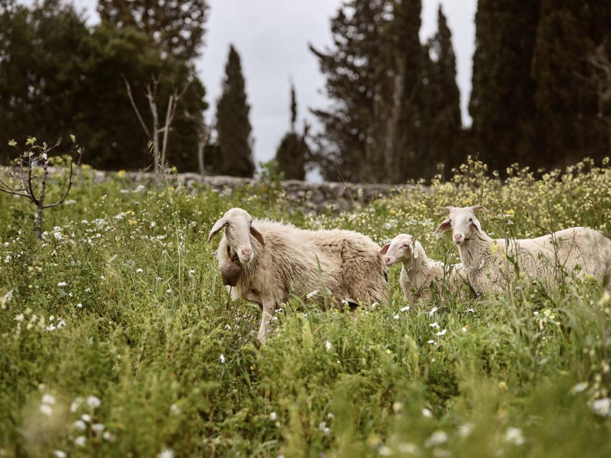 Alkis Farm And