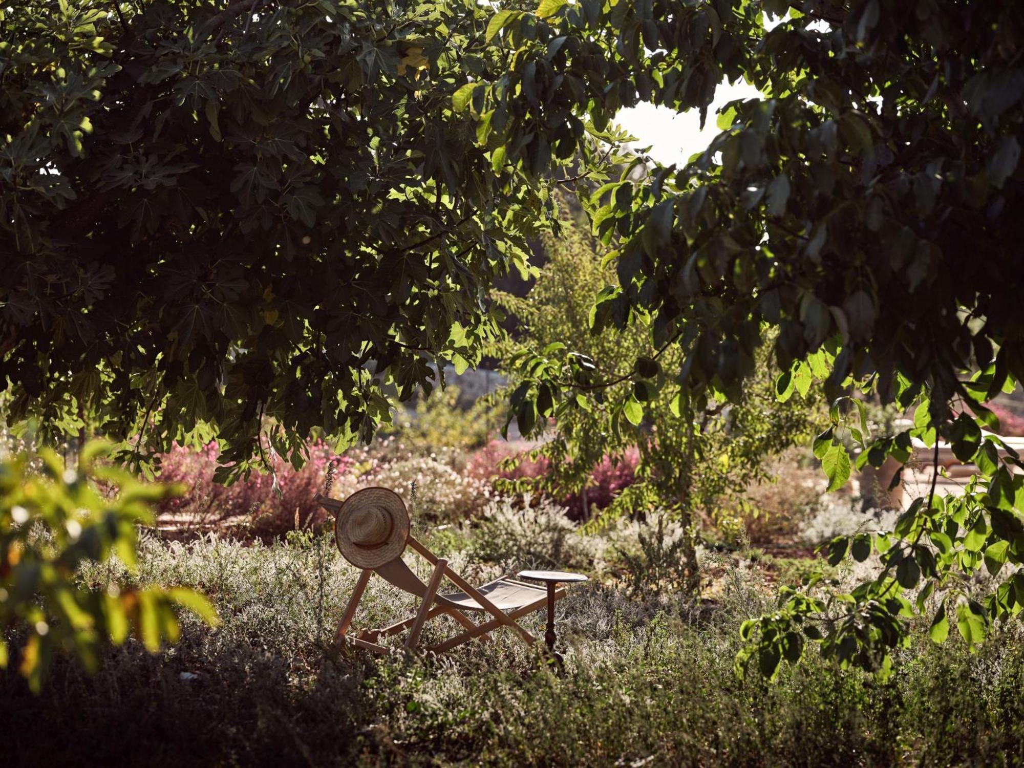 Alkis Farm And